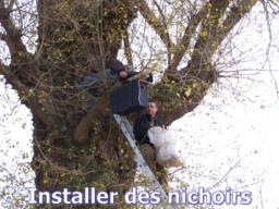 Installer des nichoirs