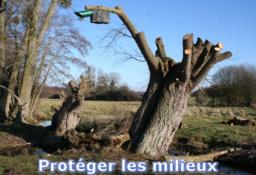 Protéger les milieux